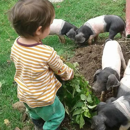 Agroturismo Arruan-haundi Farmház Itziar