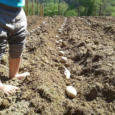 Agroturismo Arruan-haundi * Ициар