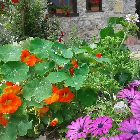 Фермерский дом Agroturismo Arruan-haundi Ициар